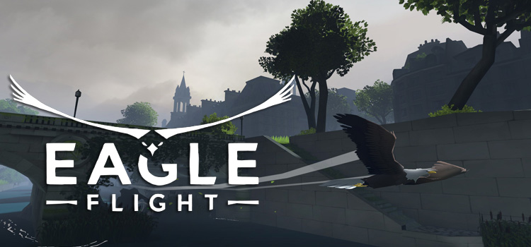 eagle flight pc