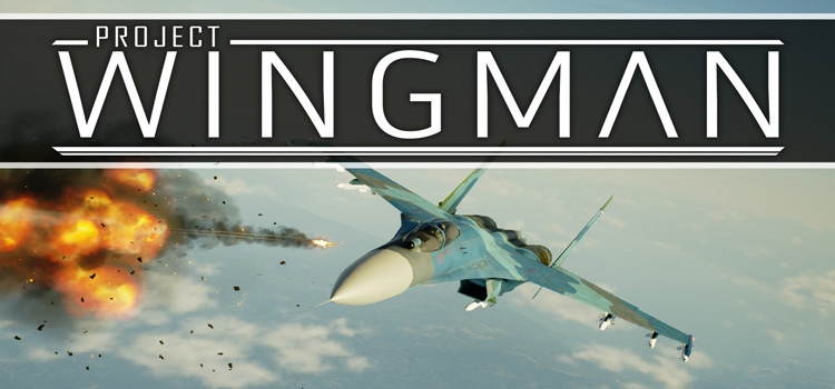 project wingman playstation download